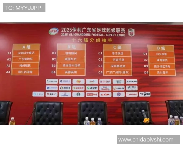 广州排球队在排球状态排行榜中荣获第三名展现强劲实力与团队合作精神 广州排球队在排球状态排行榜中荣获第三名展现强劲实力与团队合作精神