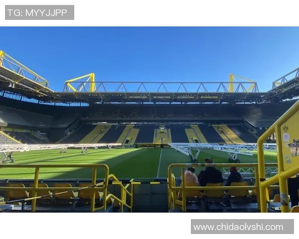 大黄蜂足球明星的辉煌历程与未来展望探讨 大黄蜂足球明星的辉煌历程与未来展望探讨