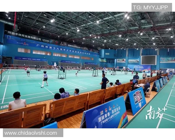 西安羽毛球队在联赛中的技术表现分析与未来发展展望 西安羽毛球队在联赛中的技术表现分析与未来发展展望