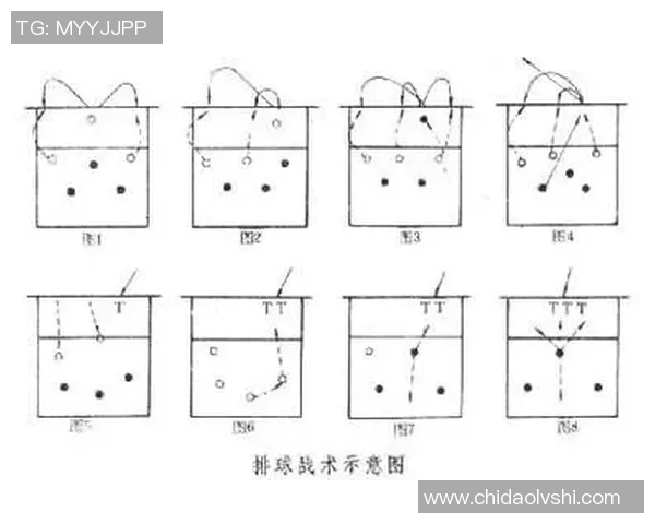南京排球队在邀请赛中的灵活性展现与战术调整分析 南京排球队在邀请赛中的灵活性展现与战术调整分析