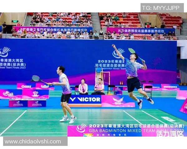 西安羽毛球队总决赛精彩回顾与技术表现分析 西安羽毛球队总决赛精彩回顾与技术表现分析